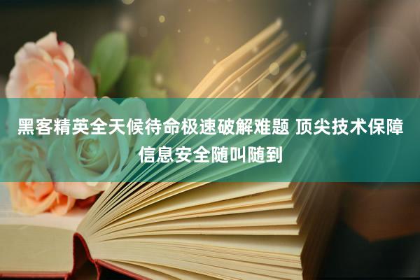 黑客精英全天候待命极速破解难题 顶尖技术保障信息安全随叫随到