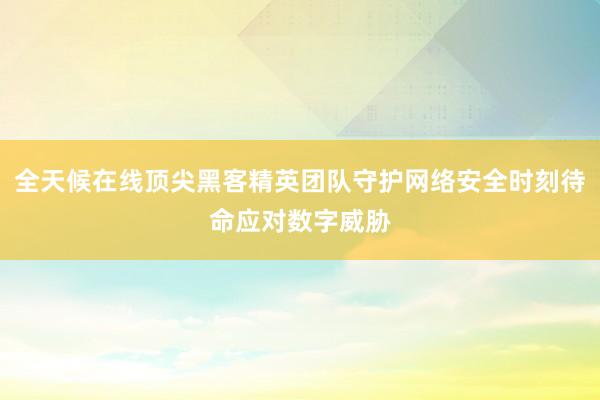 全天候在线顶尖黑客精英团队守护网络安全时刻待命应对数字威胁