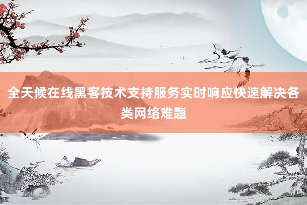 全天候在线黑客技术支持服务实时响应快速解决各类网络难题